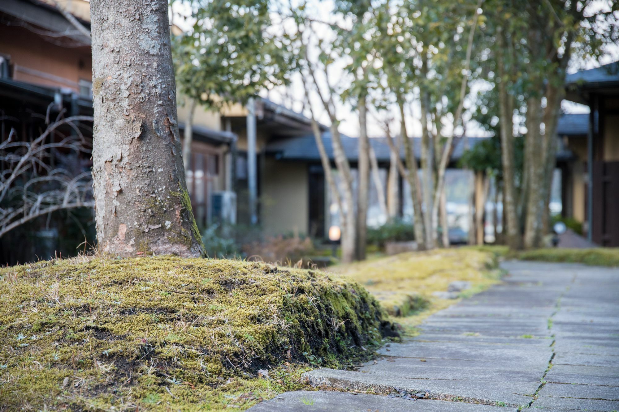 Tokiwaso Hotel Miyakonojo Exterior photo